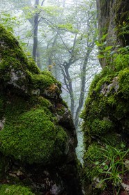 ENS de l'Isère, Les Ecouges