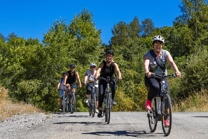 Out Emotion, vélo à assistance électrique