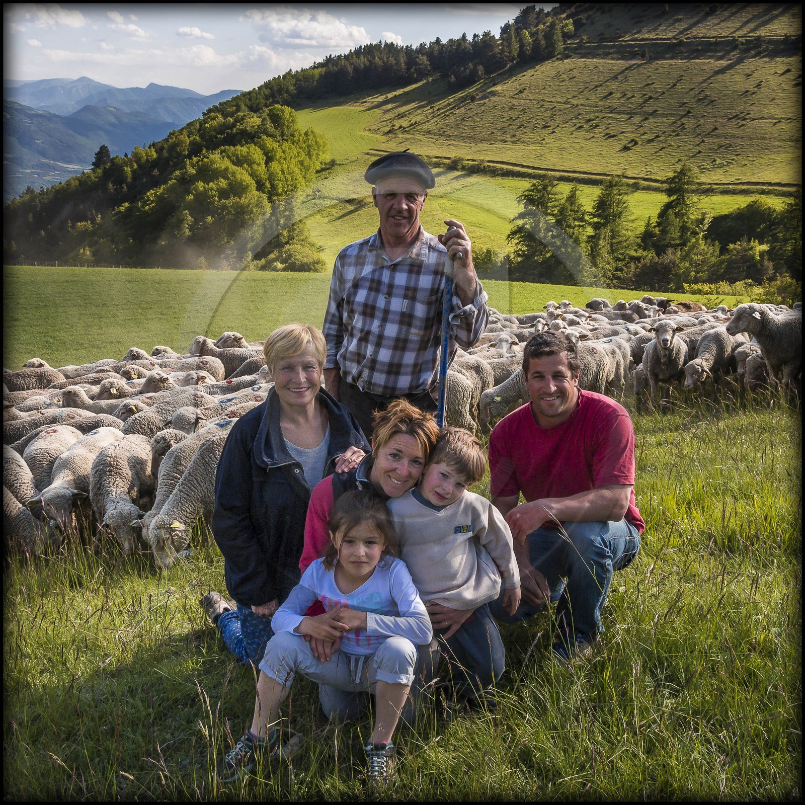 Ferme des Sonnailles, élevage et vente direct d'agneau