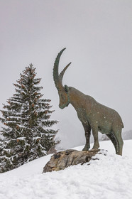 Pralognan-la-Vanoise, bouquetin en bronze