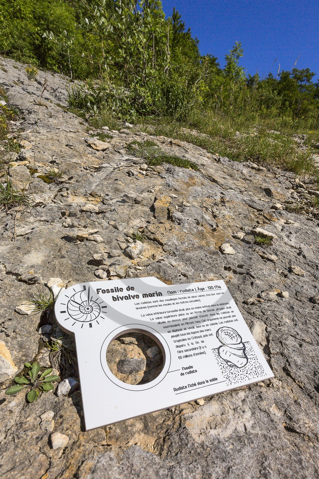 ENS de l'Isère, vallée fossile des Rimets