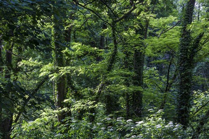 ENS de l'Isère, Boucle de la Taillat