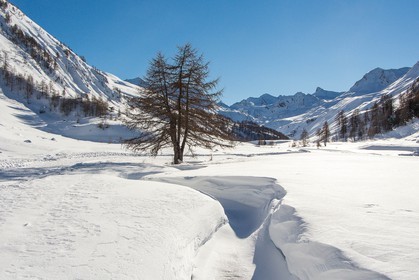Col de Larche, vallon du lauzanier, randonnée raquettes