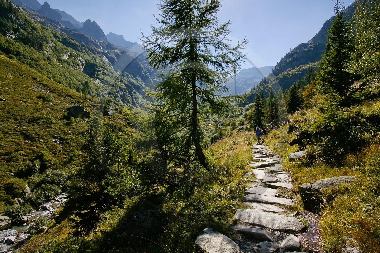 Réserve naturelle du Vallon de Bérard