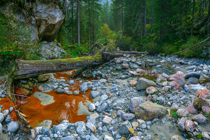 Réserve naturelle des Contamines-Montjoie, source ferrugineuse dans le torrent de Tré-la-Tête