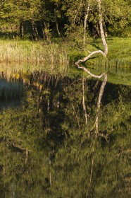 ENS de l'Isère, Marais des Seiglières