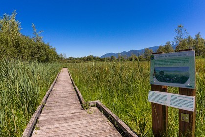 ENS de l'Isère, Marais de Montfort