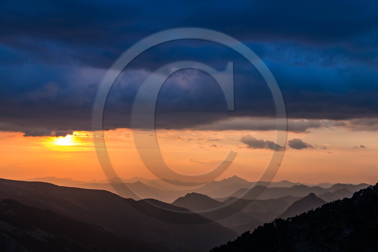 Les Monges, vallon de Reynier