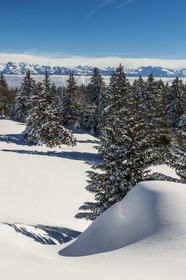 ENS de l'Isère, Plateau de la Molière et du Sornin