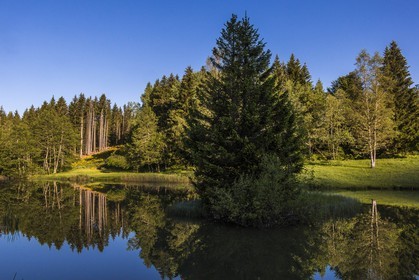ENS de l'Isère, Marais des Seiglières
