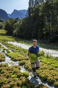 Vallée du Champsaur, Joubert Eric, maraîcher