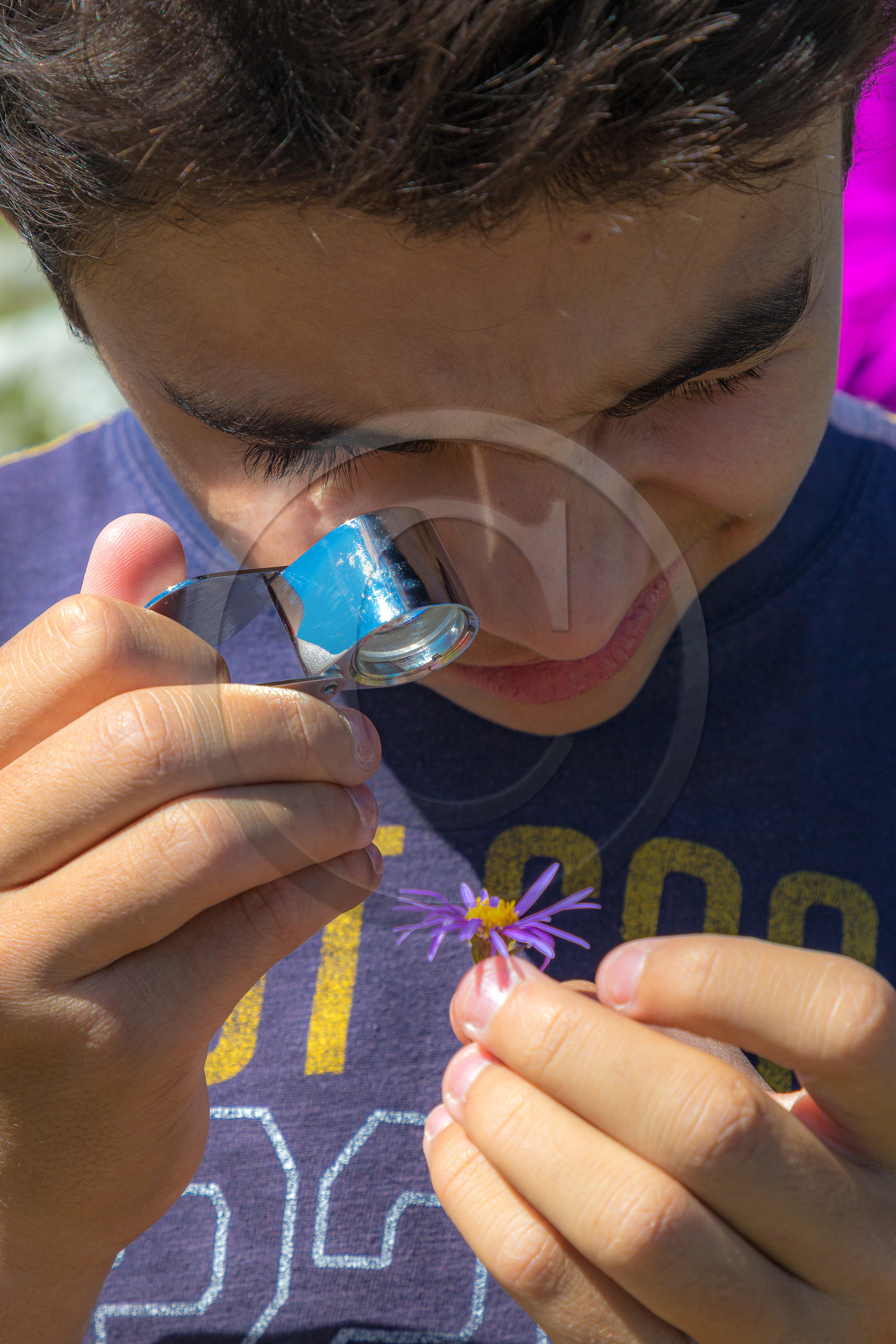 Plateau d'Emparis, randonnée pédestre