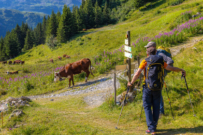 Réserve Naturelle des Contamines-Montjoie, randonnée pédestre