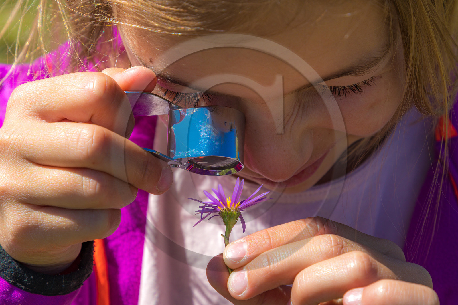 Plateau d'Emparis, randonnée pédestre