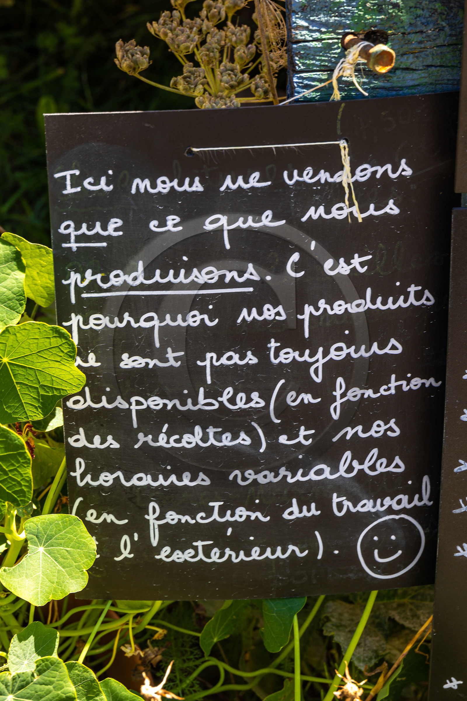 Les cueillettes du Lauzet et la miellerie du Lauzet