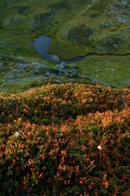 Réserve naturelle de Carlaveyron, Lac de l'Aiguillette