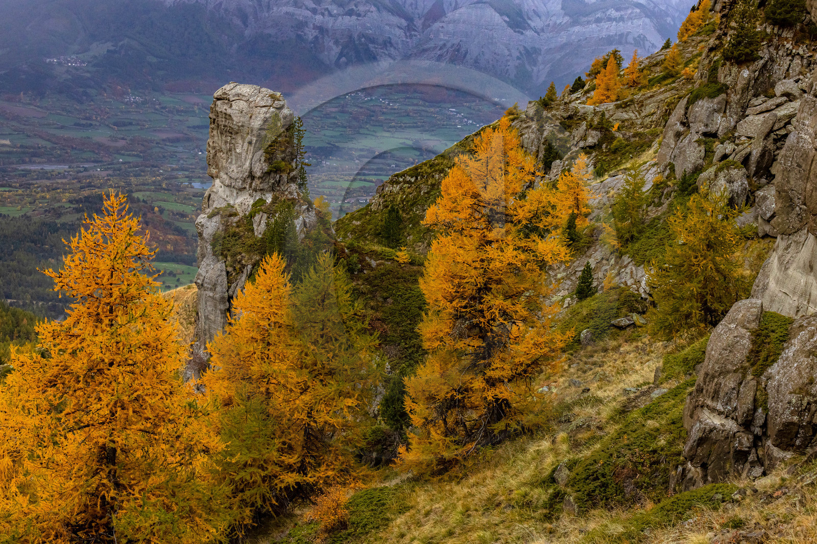 L'automne dans la Vallée du Champsaur