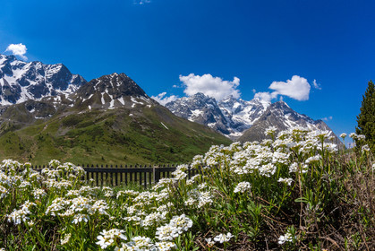 Jardin Botanique Alpin du Lautaret