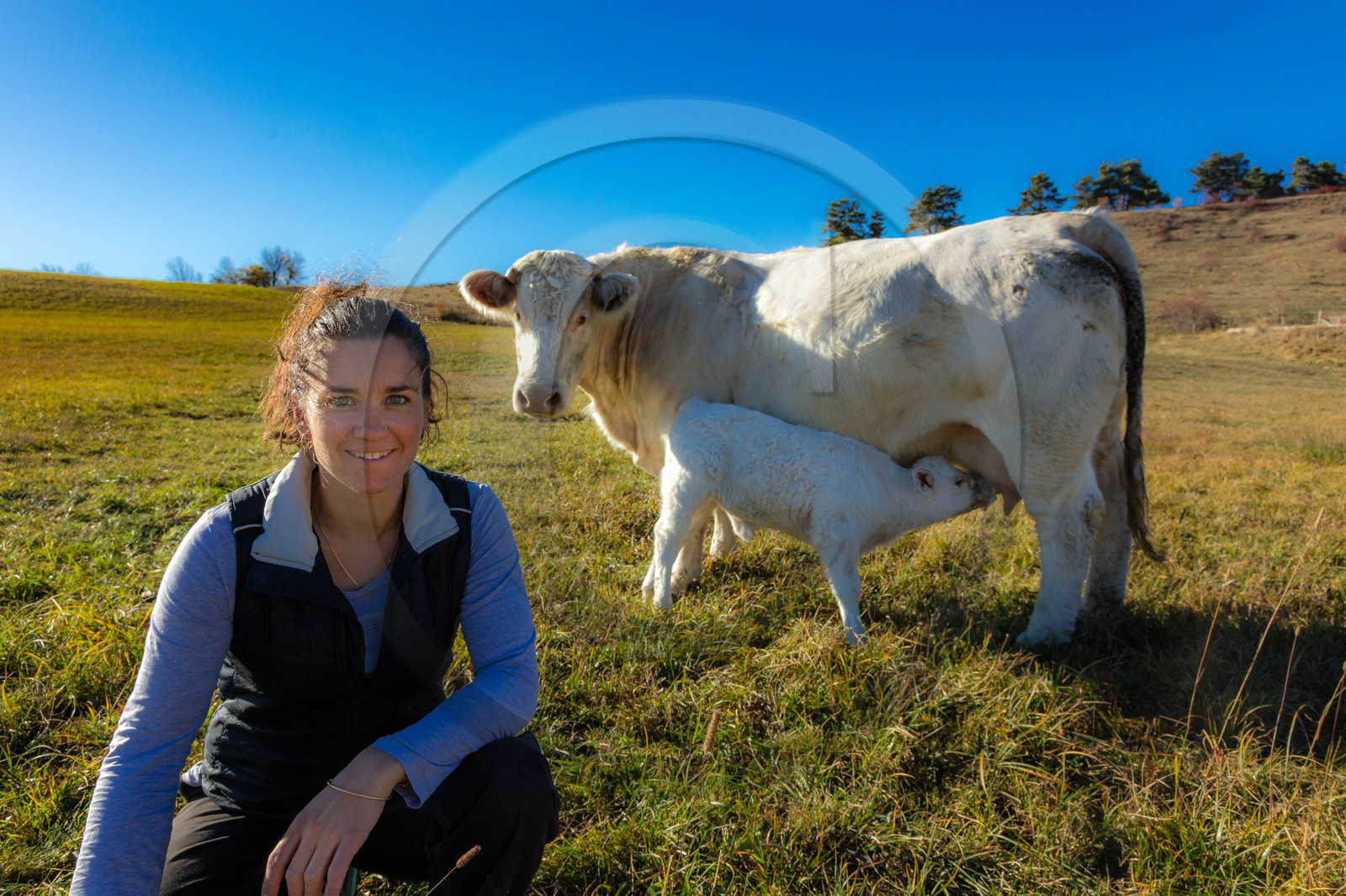 Ferme de Sauron, Laure Marcellin