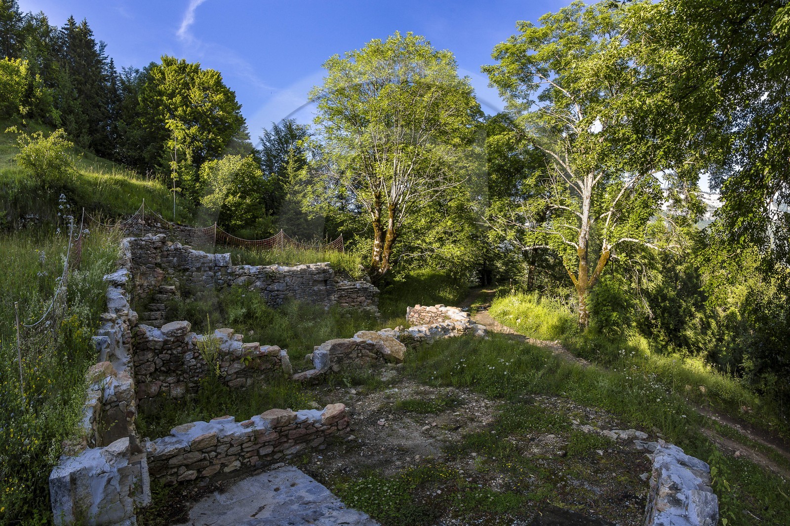 ENS de l'Isère, vallée fossile des Rimets