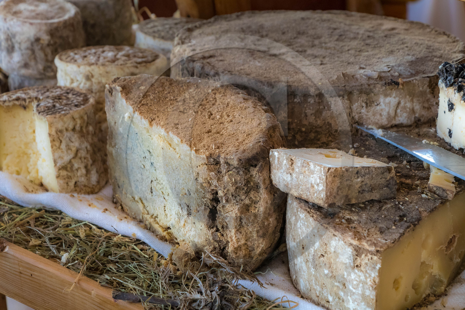 Ercheu des fromages de Savoie de tous mes cousins