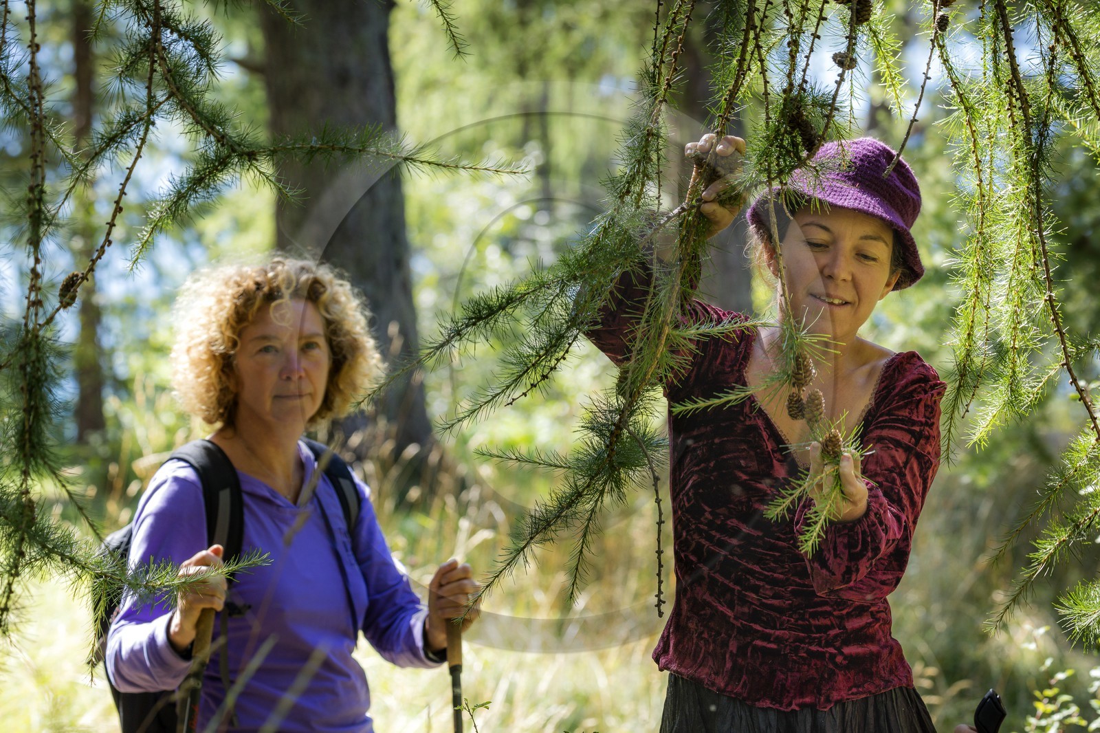 Sandrine Charriot, accompagnatrice en moyenne montagne