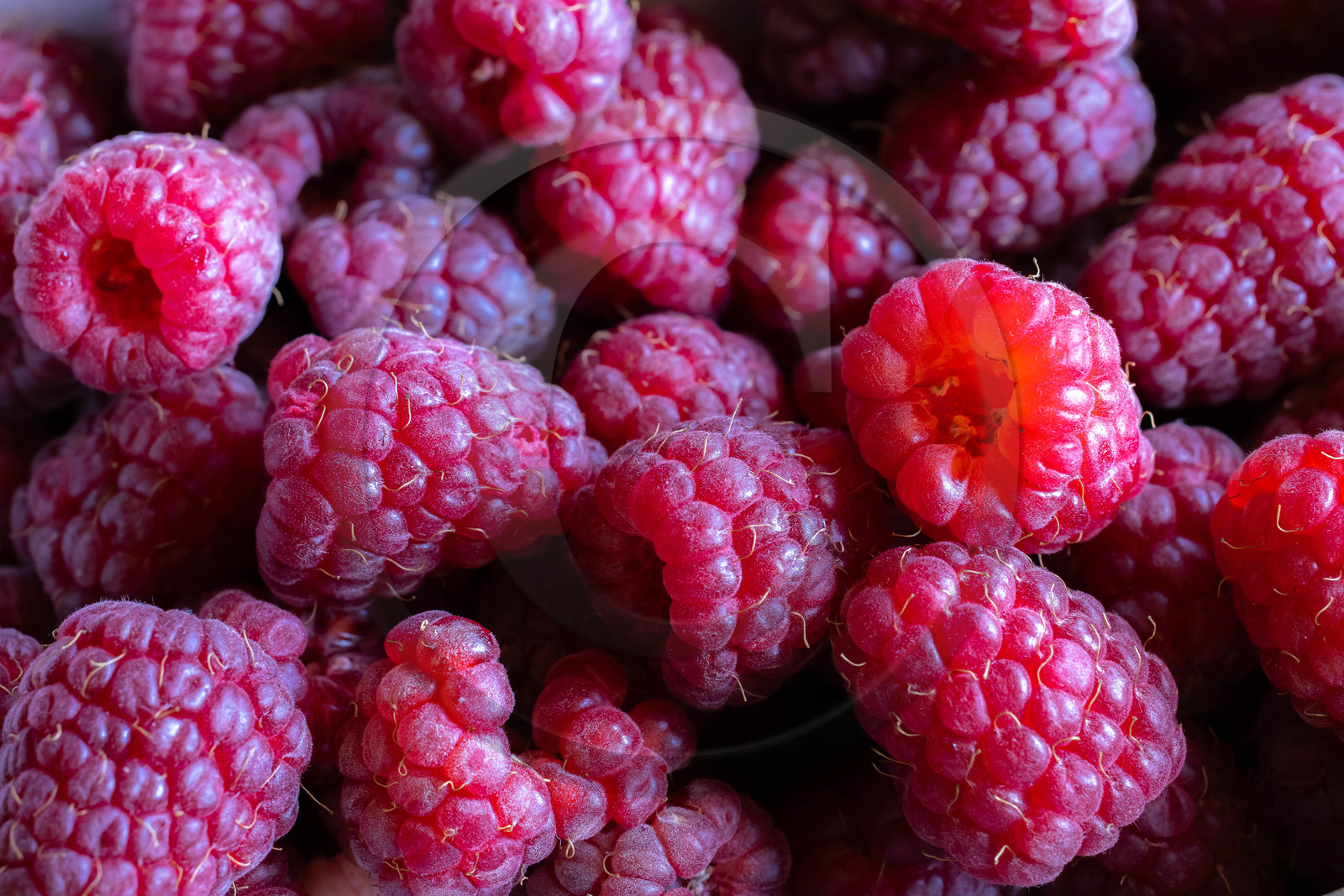 Ecrins de fruits, producteur de fruits rouges