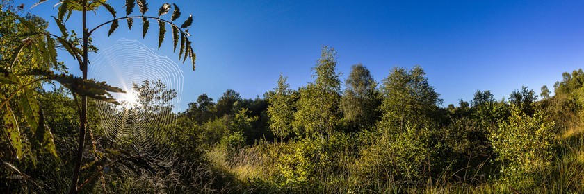 ENS de l'Isère, Tourbière des Planchettes