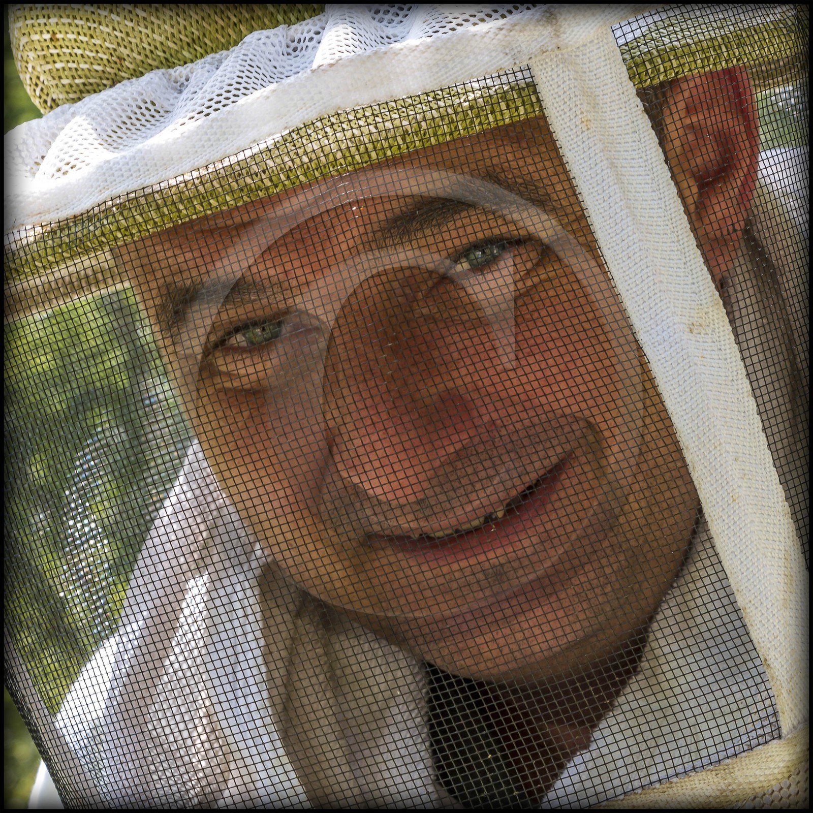 Vallée du Champsaur, Gérald Tiron, apiculteur
