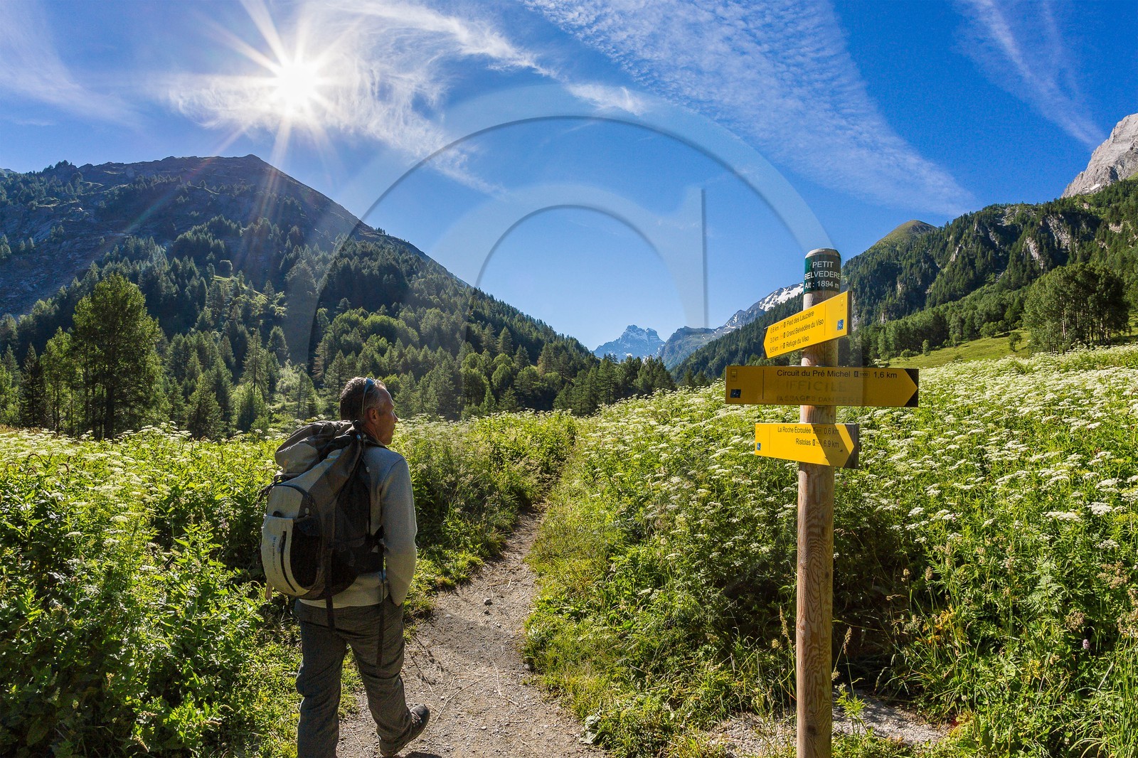 Réserve naturelle de Ristolas-Mont Viso, Nicolas Tenoux