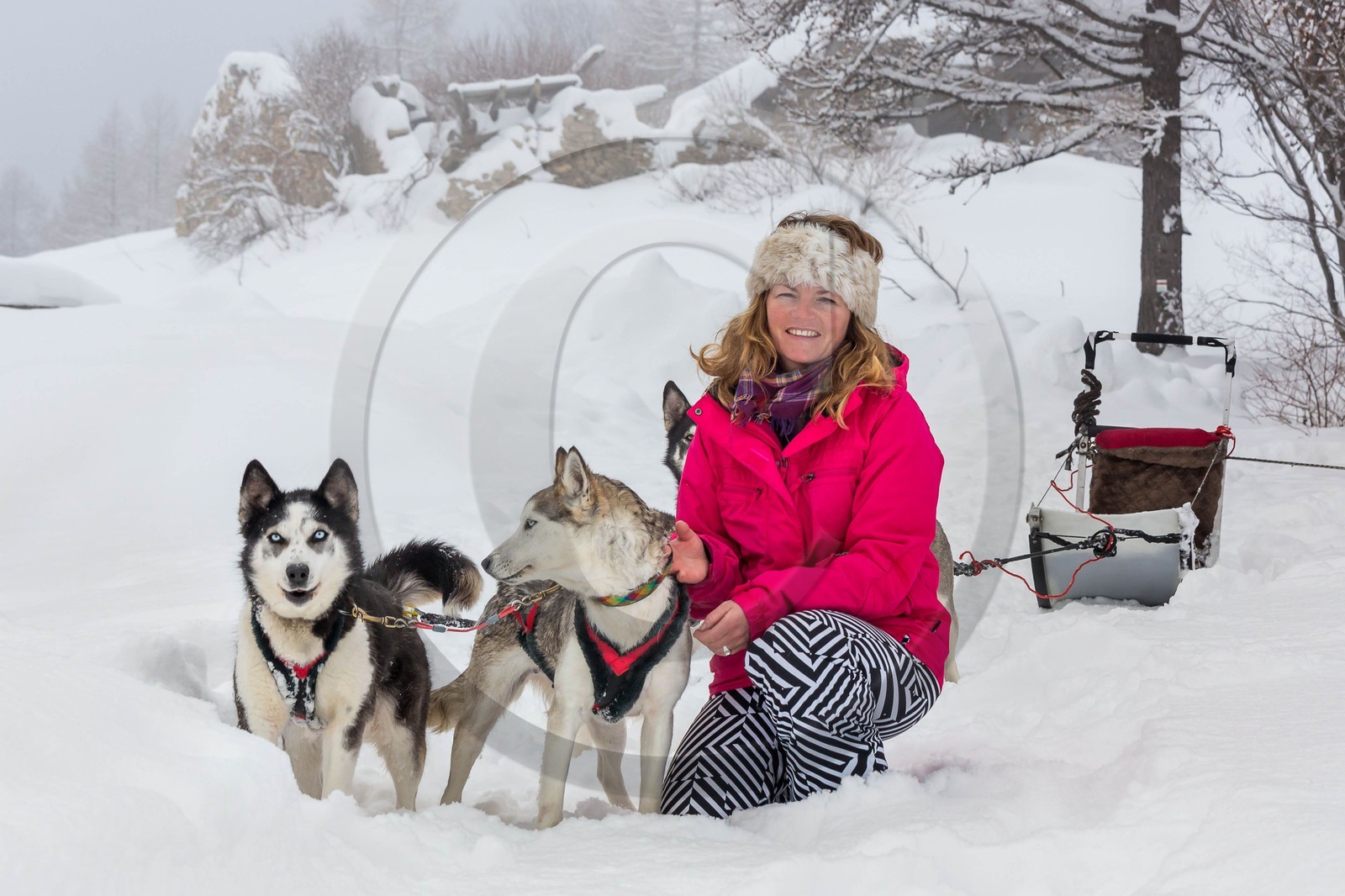 La Condamine-Châtelard, Sainte-Anne la Condamine, Coralie Bonnerot et ses chiens de traineau
