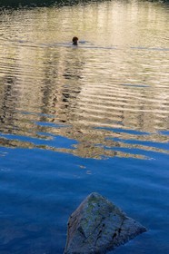 Baignade au lac de Cebeyras