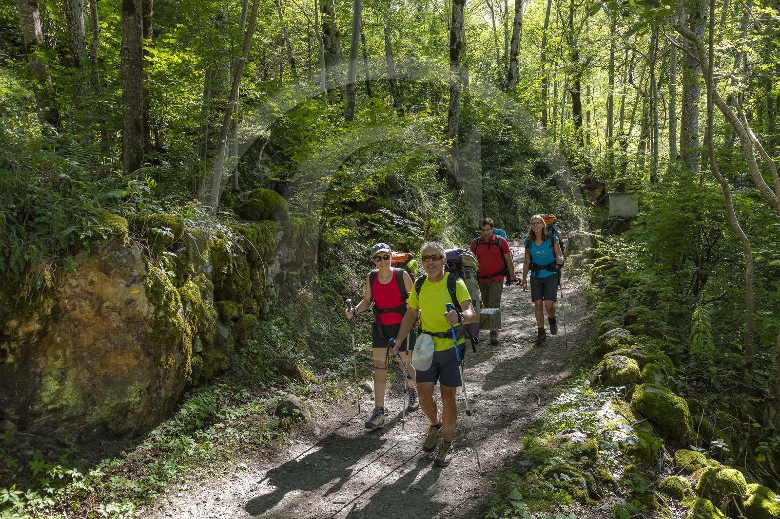 Randonnée pédestre sur le GR54