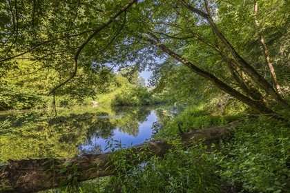 ENS de l'Isère, , le méandre des Oves