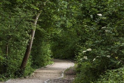 ENS de l'Isère, bois de la Bâtie