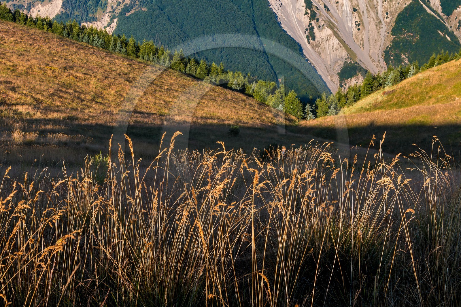 Montagne du Gau , les Clots