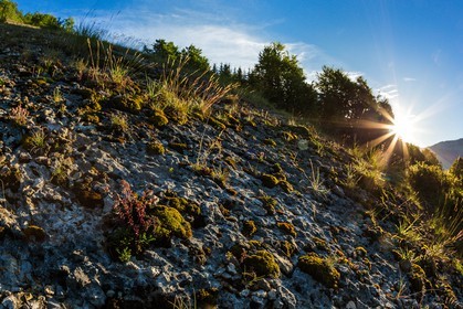 ENS de l'Isère, vallée fossile des Rimets