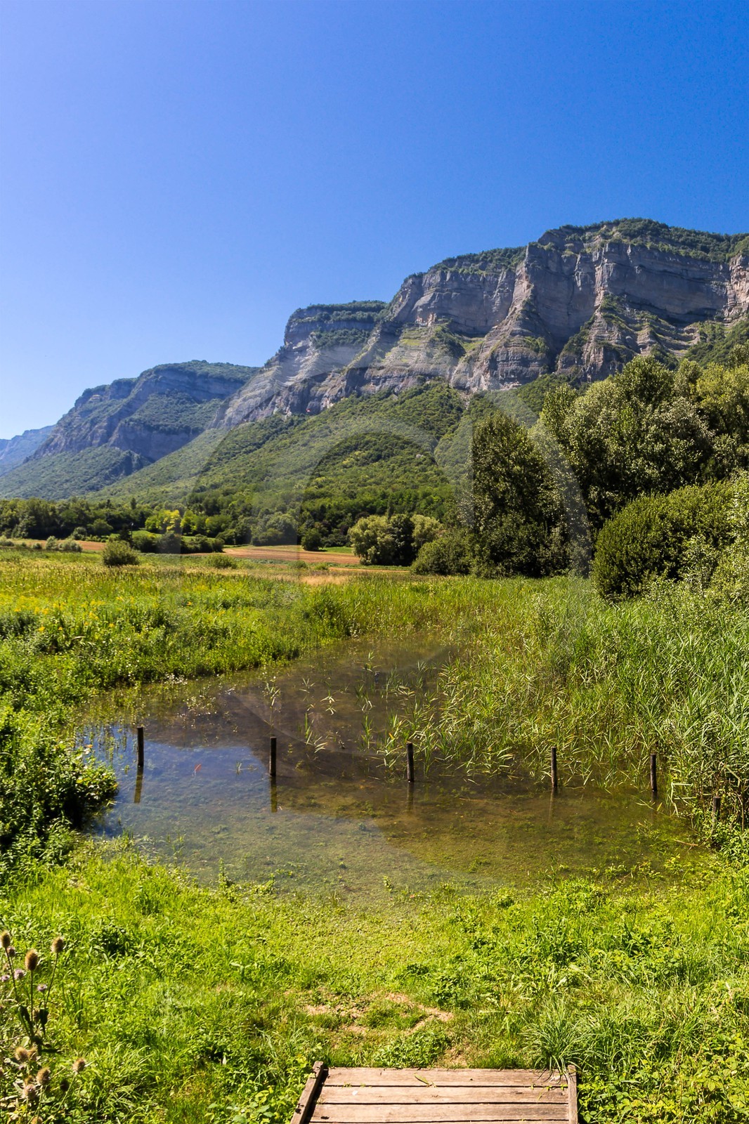 ENS de l'Isère, Marais de Montfort