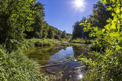 ENS de l'Isère, étang de Cote Manin