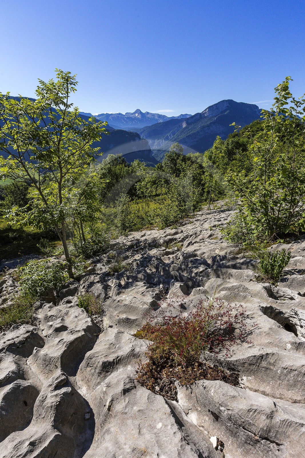 ENS de l'Isère, vallée fossile des Rimets