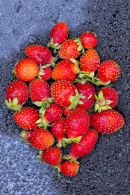 Ecrins de fruits, producteur de fruits rouges