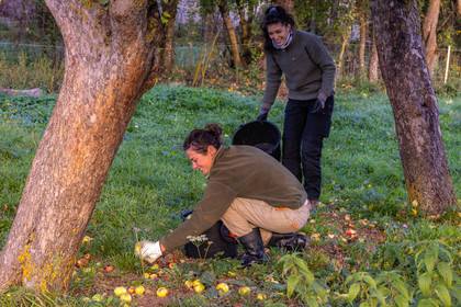 Etablissement Gayral, producteur de jus