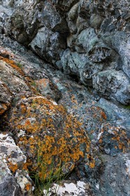 Montgenèvre, Le Chenaillet, ophiolites