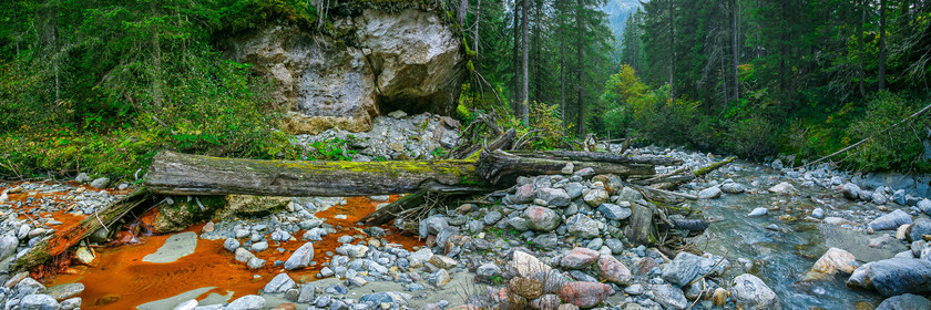 Réserve naturelle des Contamines-Montjoie, source ferrugineuse dans le torrent de Tré-la-Tête