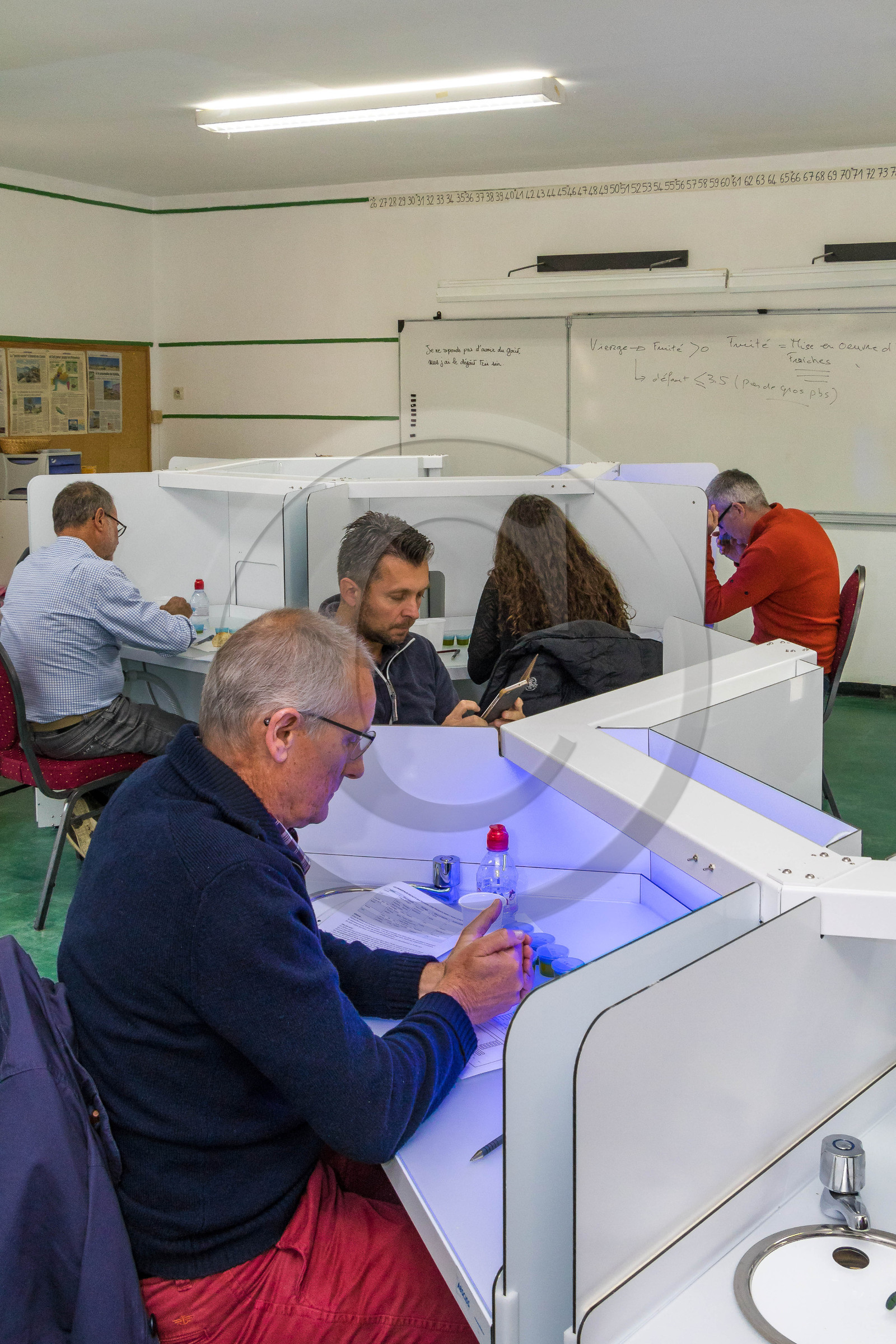 Syndicat interprofessionnel de l'olivier de la vallée des Baux de Provence
