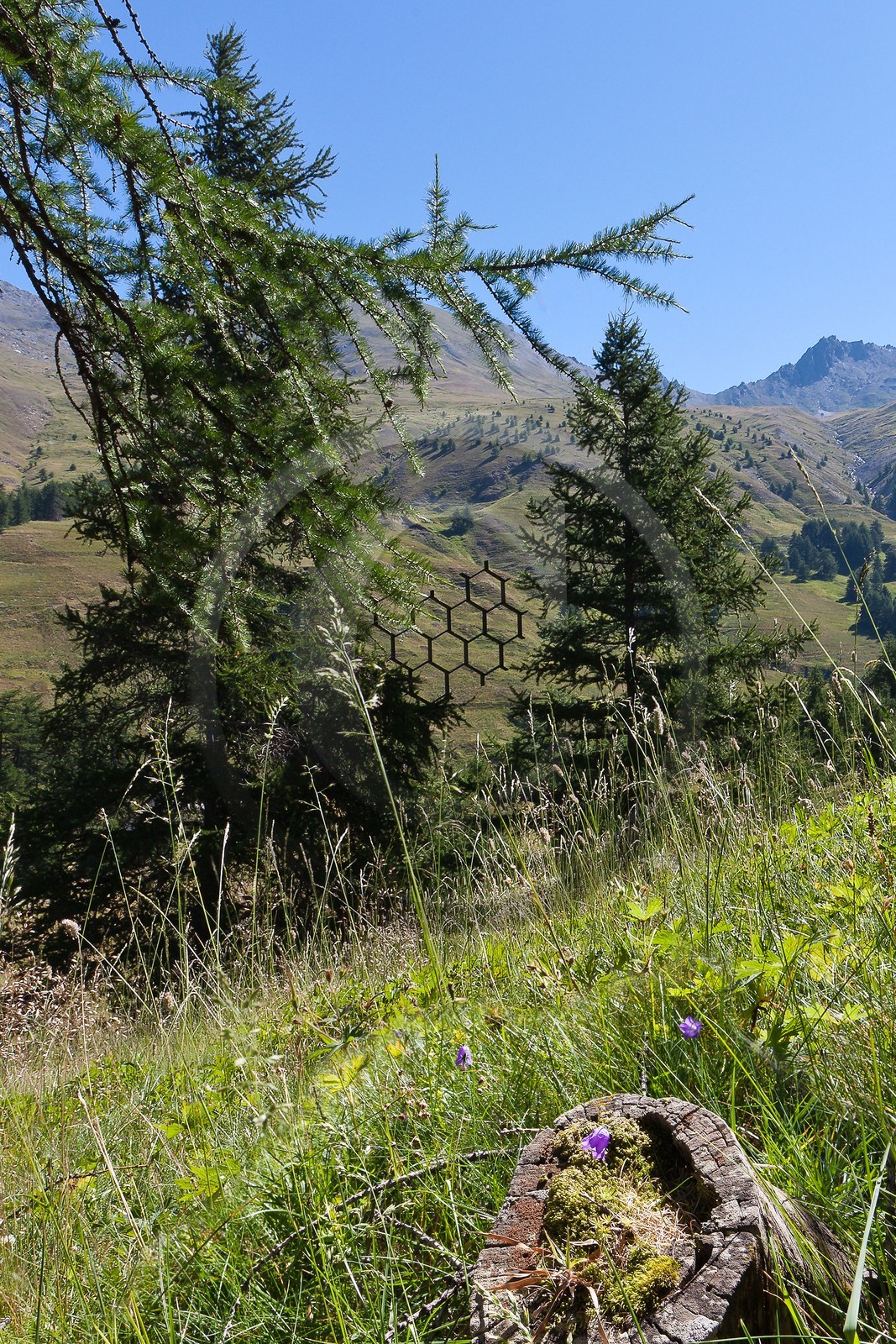Sentiers Art et Nature Queyras et Val Varaita, Sylvaine et Arnaud de la Sablière