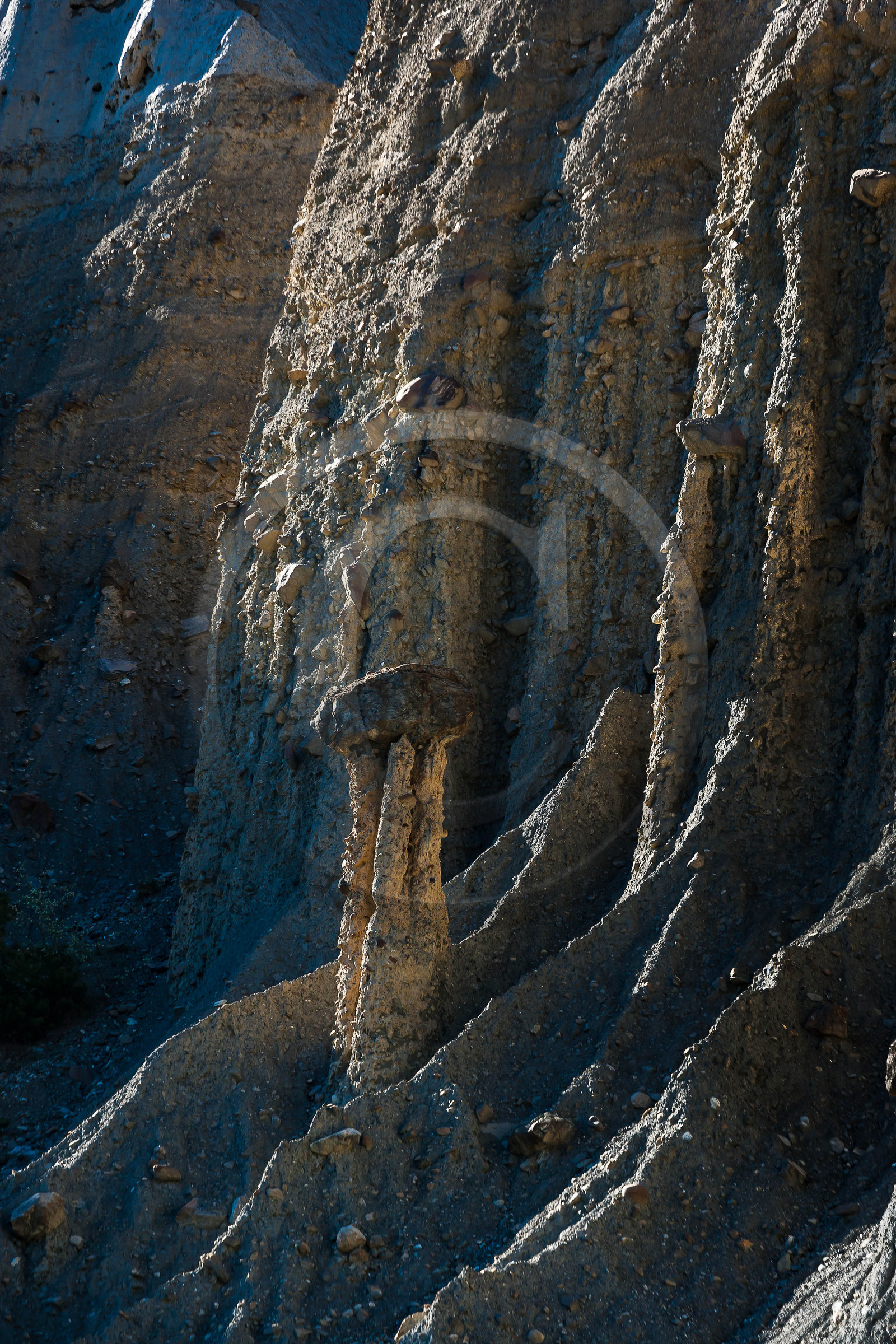 Salle de Bal des Demoiselles Coiffées