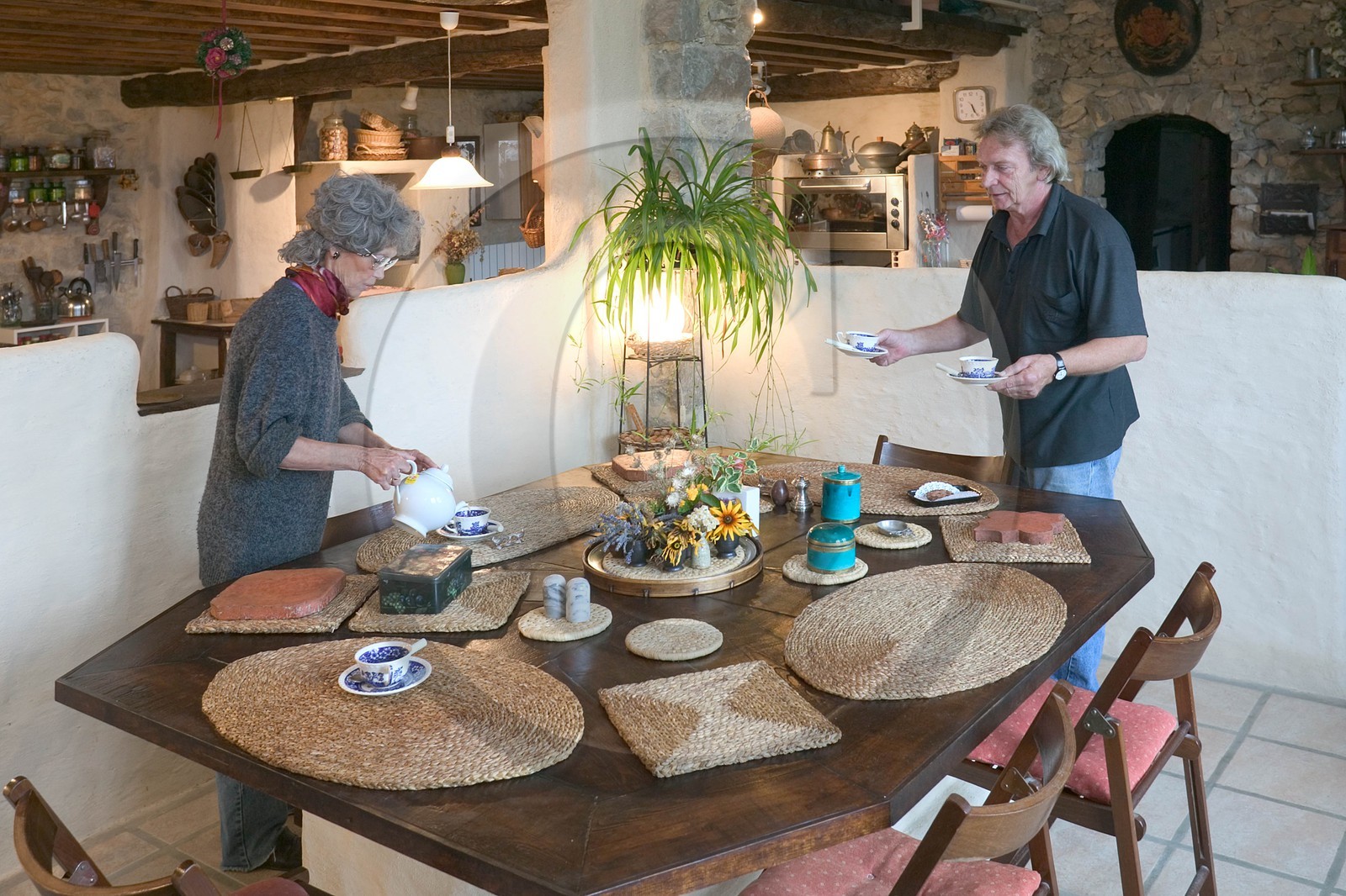 Saint-André de Rosans, Chambres et tables d'hôtes La Condamine