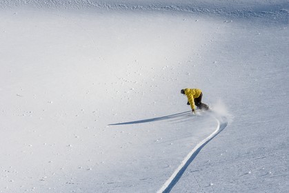 Surf des neige, Snowboard