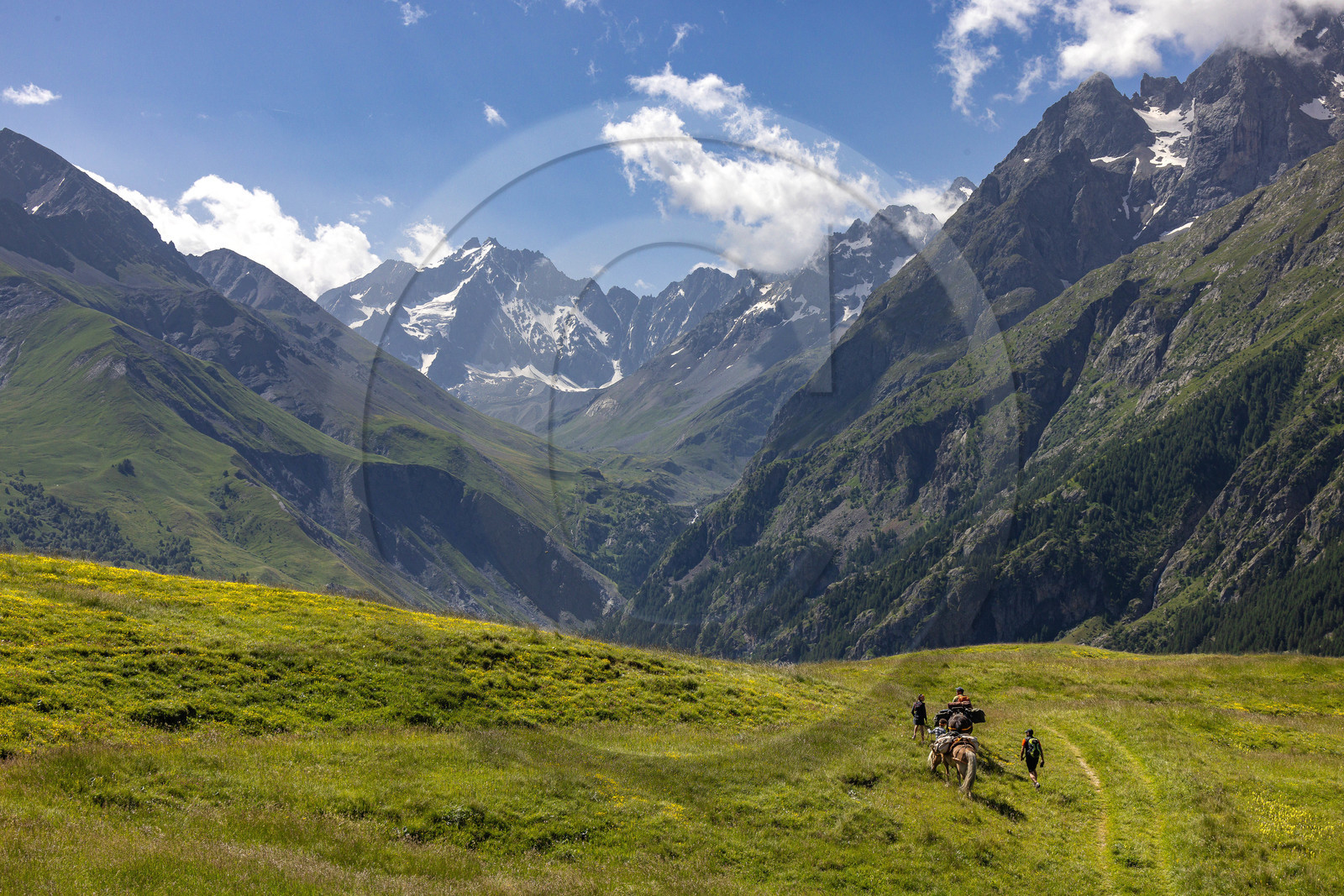 Trek famille avec animaux de bats